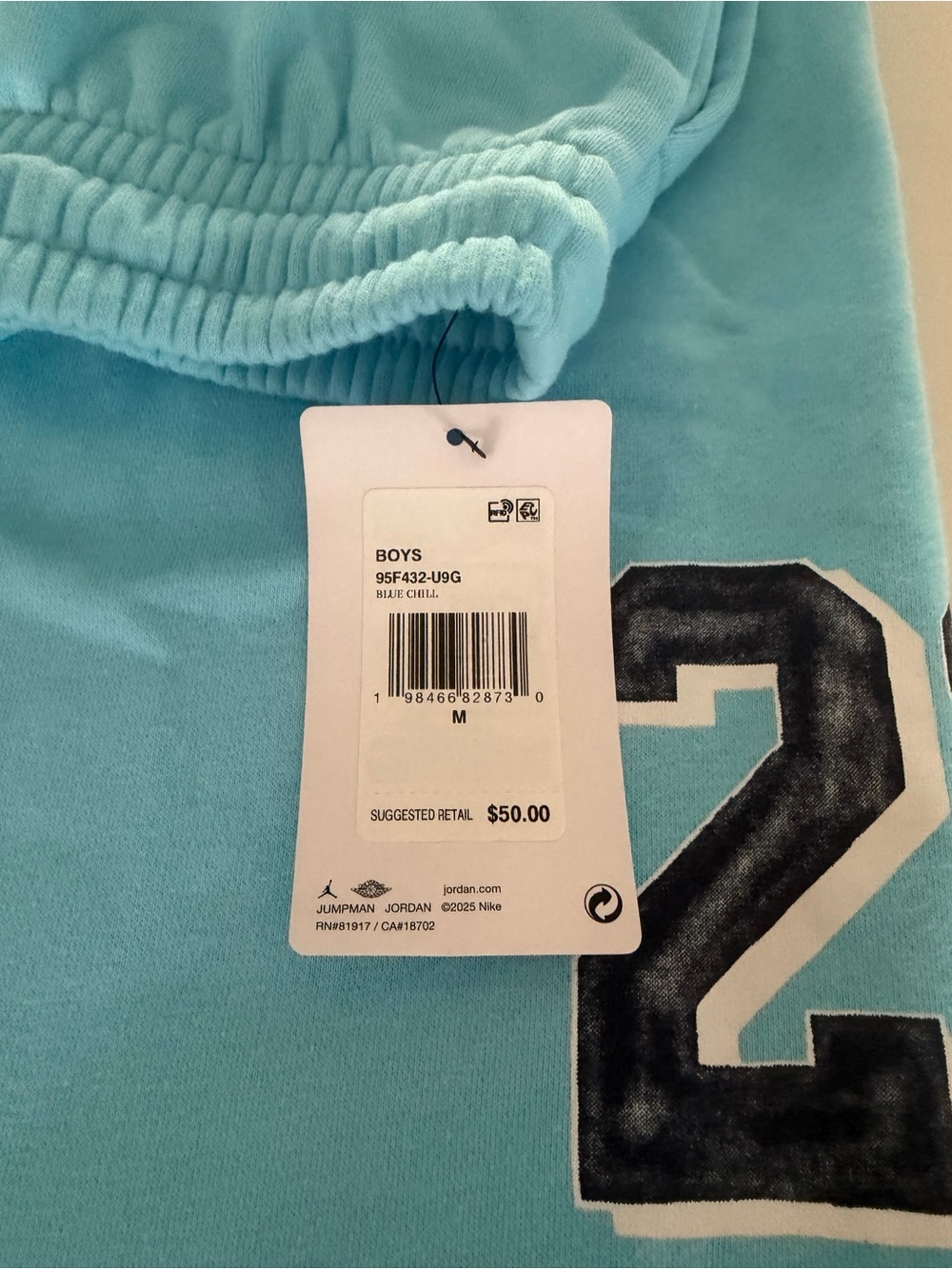 Jordan Youth Bright Blue Graphic Fleece Joggers - Picture 3 of 5